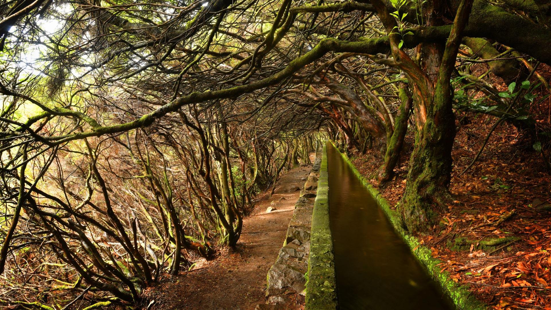 Madeira, Levada